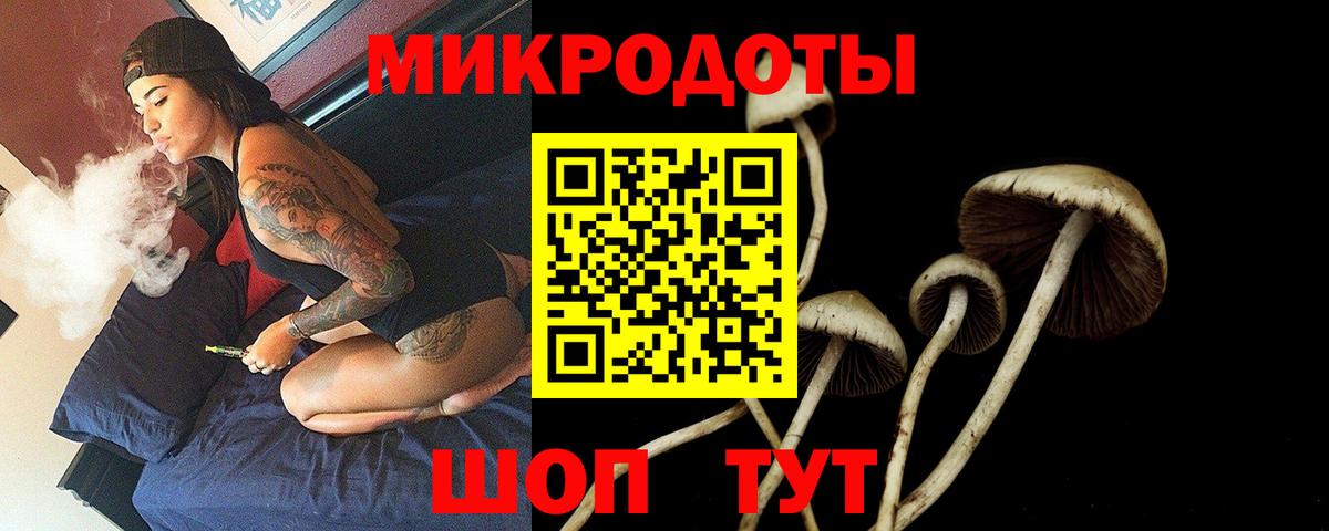 наркотики  Псилоцибиновые грибы Magic Shrooms  Ростов Великий  Вход с VPN  Псилоцибиновые грибы Psilocybe 
